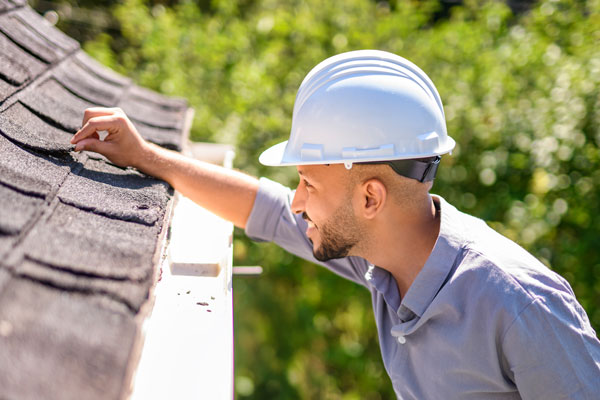 Professional Roofing Contractor Professional Roofing Contractor